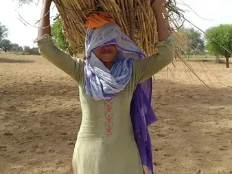 Desixxxsarita's Desi Milf husband gets railed in the forest by her insatiable spouse